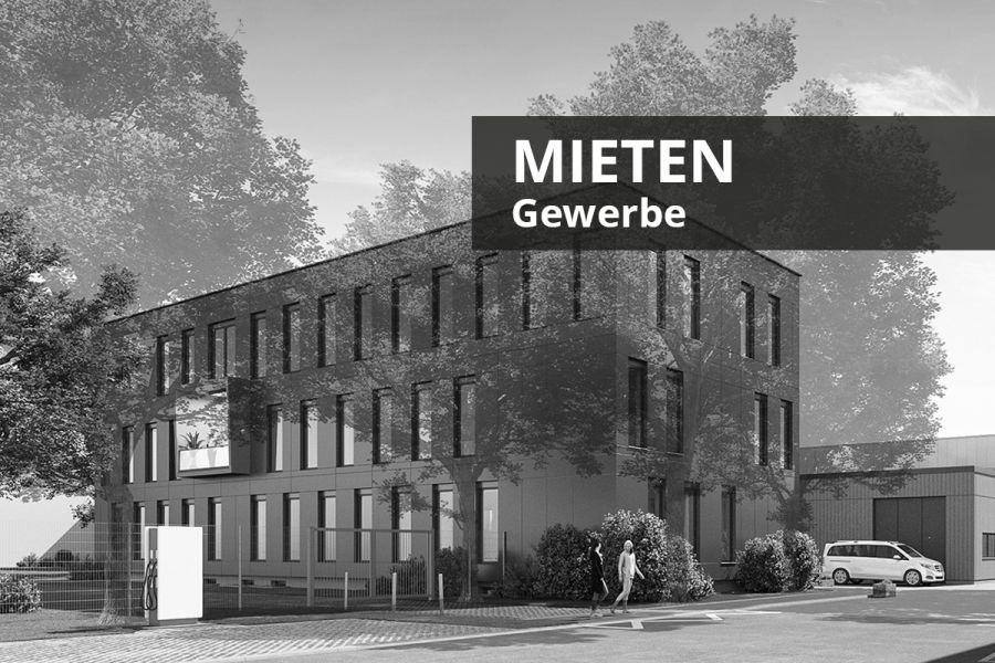 HANSAPARK N° 9 | ILLUSTRATION | QUELLE: RÜSTIG